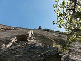 Ridimensiona diImm 062